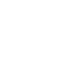 Karpov Academy